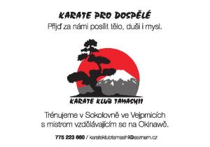 karate pro dospělé 